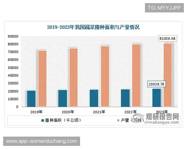 澳门六张赌牌持有者的背景与行业影响深度分析