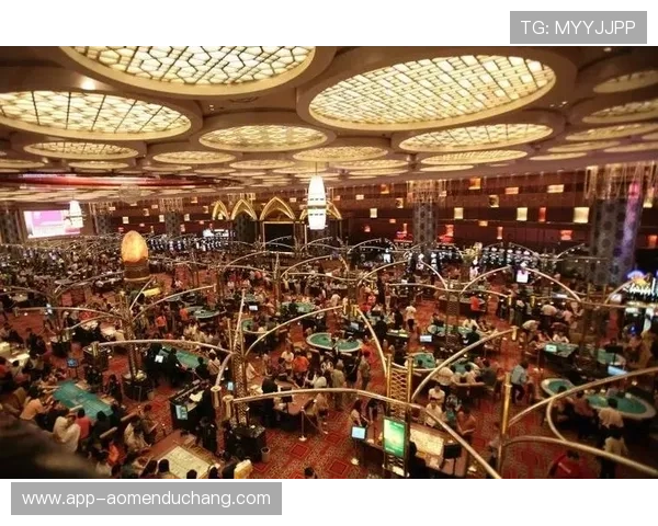 澳门美高梅赌博地址最新官方指南，助你轻松找到安全可靠的博彩地点