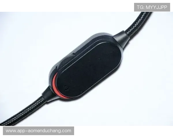 K8真人下載官方正版链接，保证快速安全稳定的游戏体验体验多样真人娱乐内容