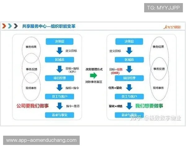 PA视讯在视频内容管理中的创新应用与发展路径