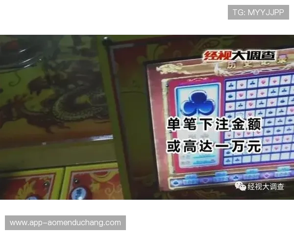 全面解析百家乐的游戏规则和常见下注策略帮助玩家轻松应对各类局面