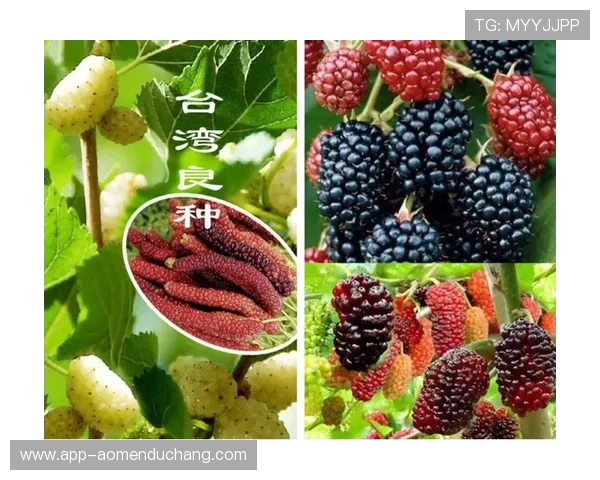 澳门新濠天地旗舰平台落实绿色可持续理念，打造环境友好的高端娱乐休闲园区